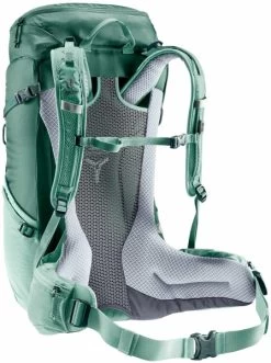 Deuter Futura -Bester Kajak Laden 3215141 24sl forestjade ruecken 22 720x600